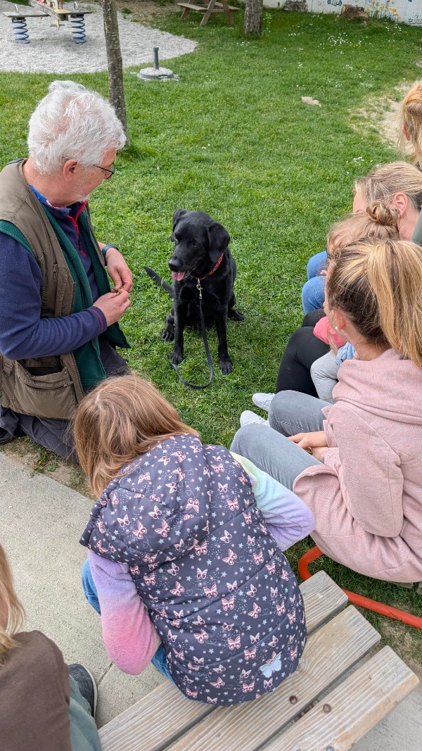 Hundebesuch