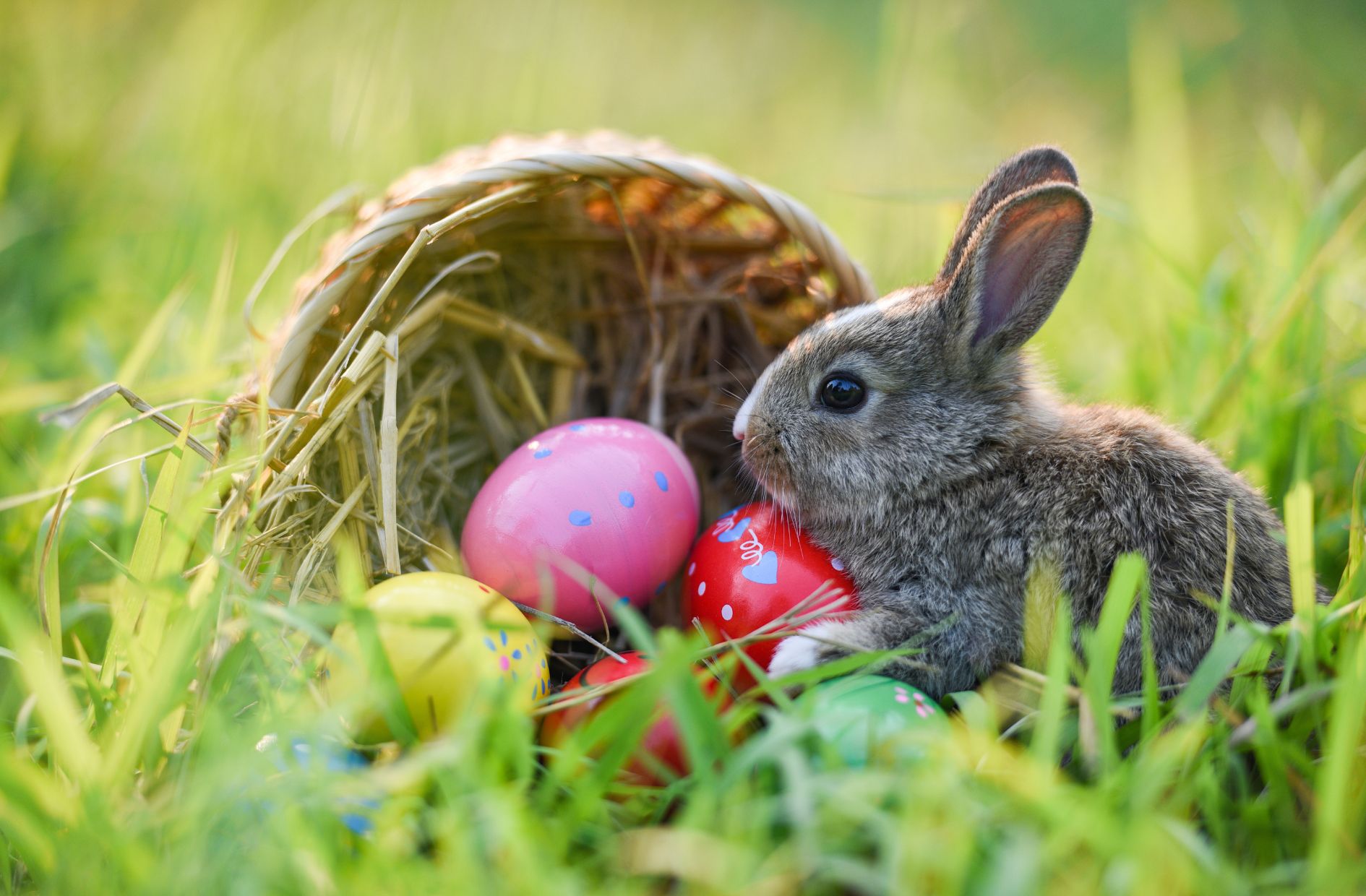 12.04.2025 Osterschatzsuche im Berglwald